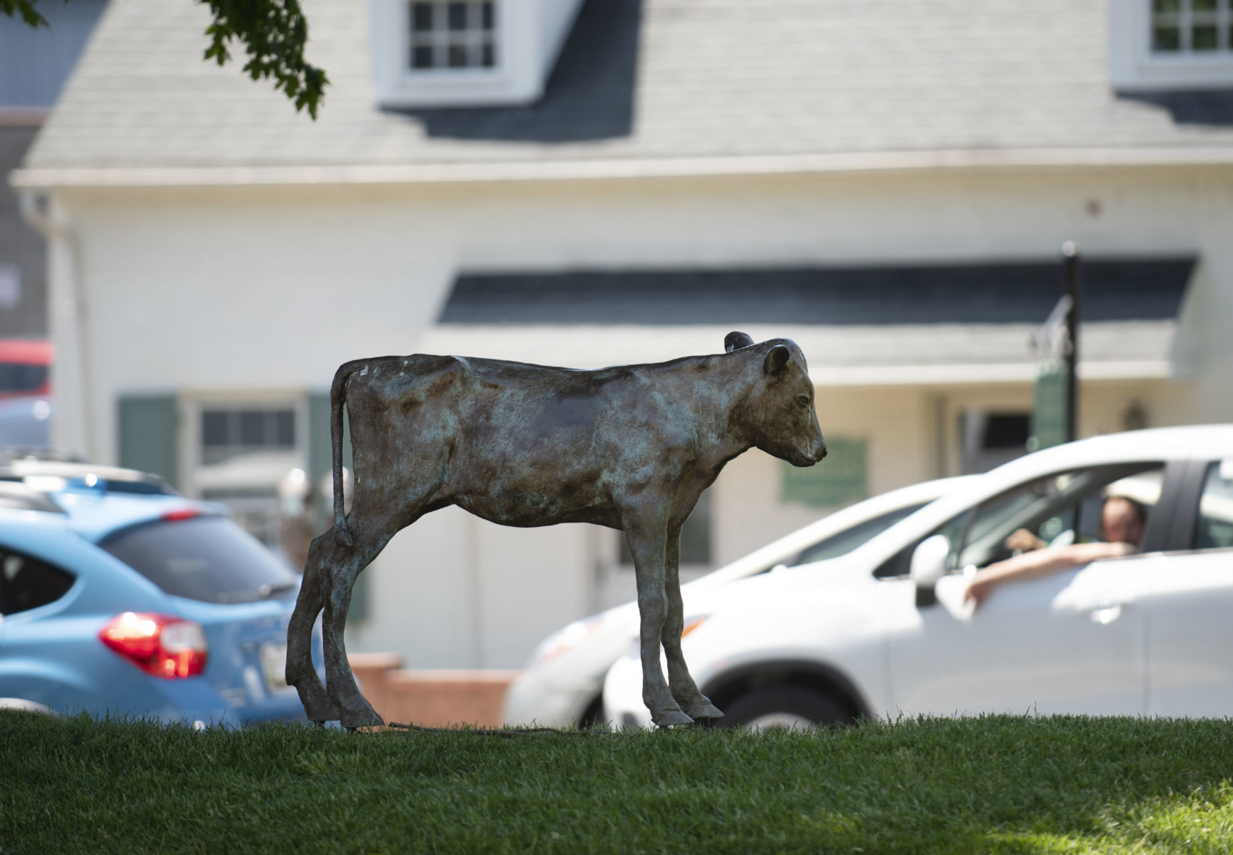 Becky the Calf sculpture
